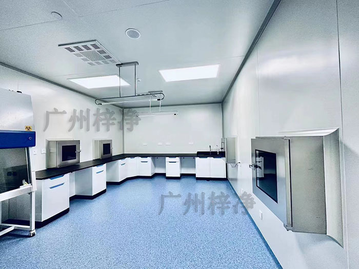 生物实验室传递窗安全渡槽的重要性与应用